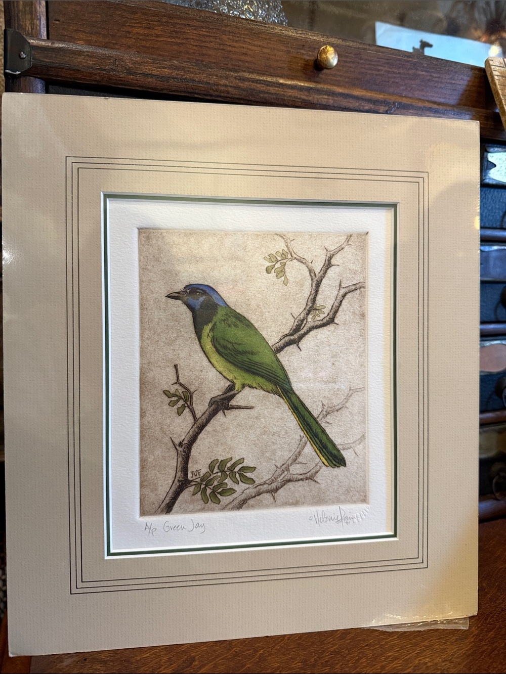 Melanie Fain etching “Green Jay”